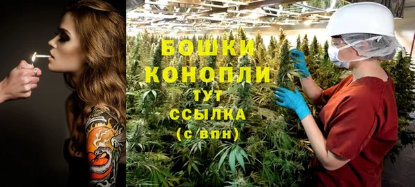 ПСИЛОЦИБИНОВЫЕ ГРИБЫ Балабаново