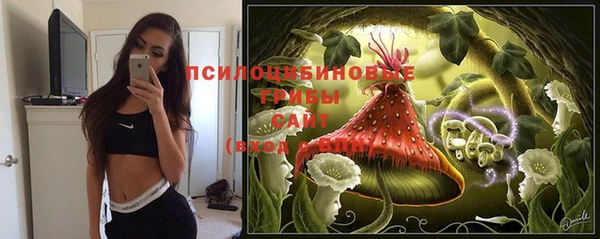 ПСИЛОЦИБИНОВЫЕ ГРИБЫ Балабаново