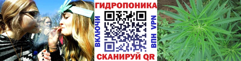 Канабис ГИДРОПОН  Купить закладки  Костерёво 
